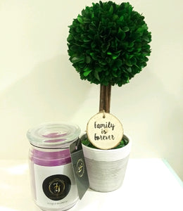 X2. JJ PURPLE BLOSSOM